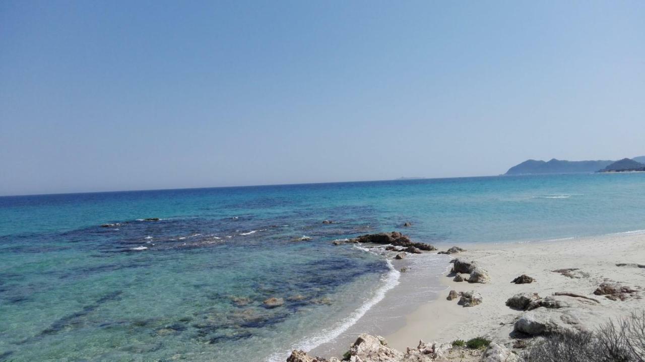 Agriturismo Camboni Villa Annunziata  Eksteriør bilde