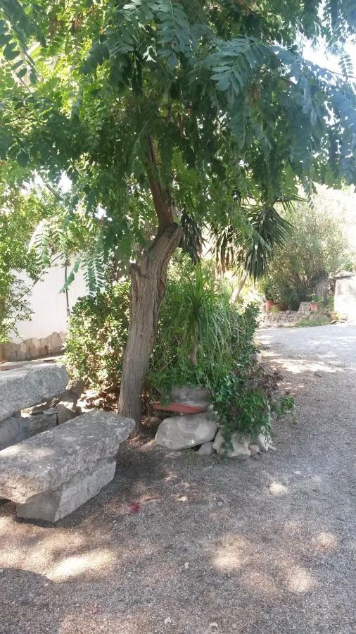 Agriturismo Camboni Villa Annunziata  Eksteriør bilde