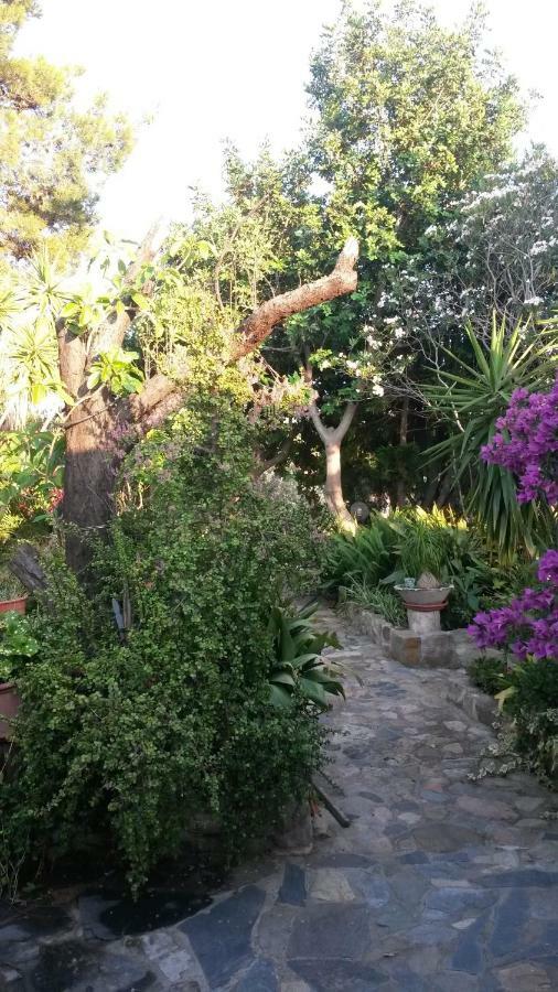 Agriturismo Camboni Villa Annunziata  Eksteriør bilde