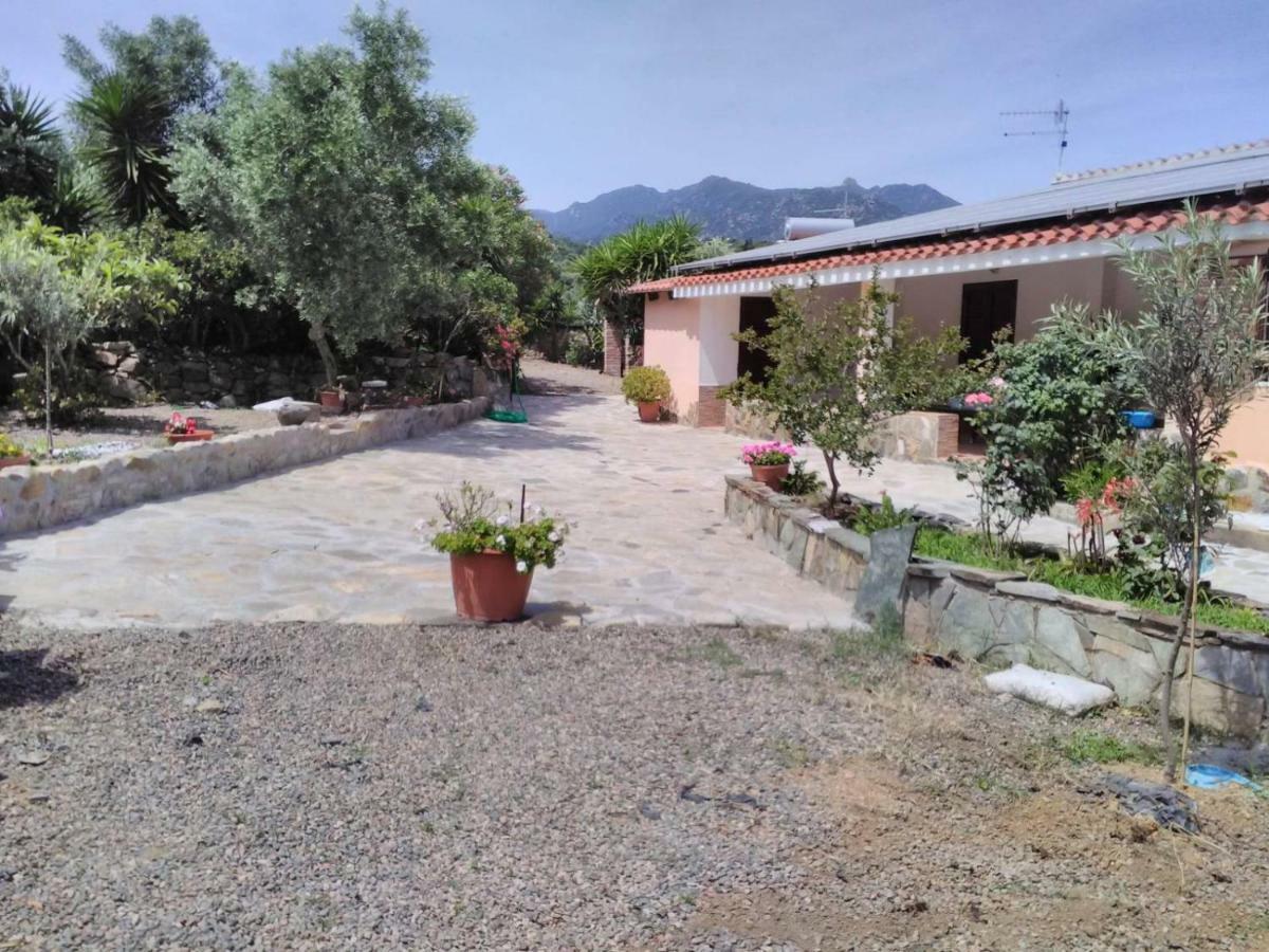 Agriturismo Camboni Villa Annunziata  Eksteriør bilde